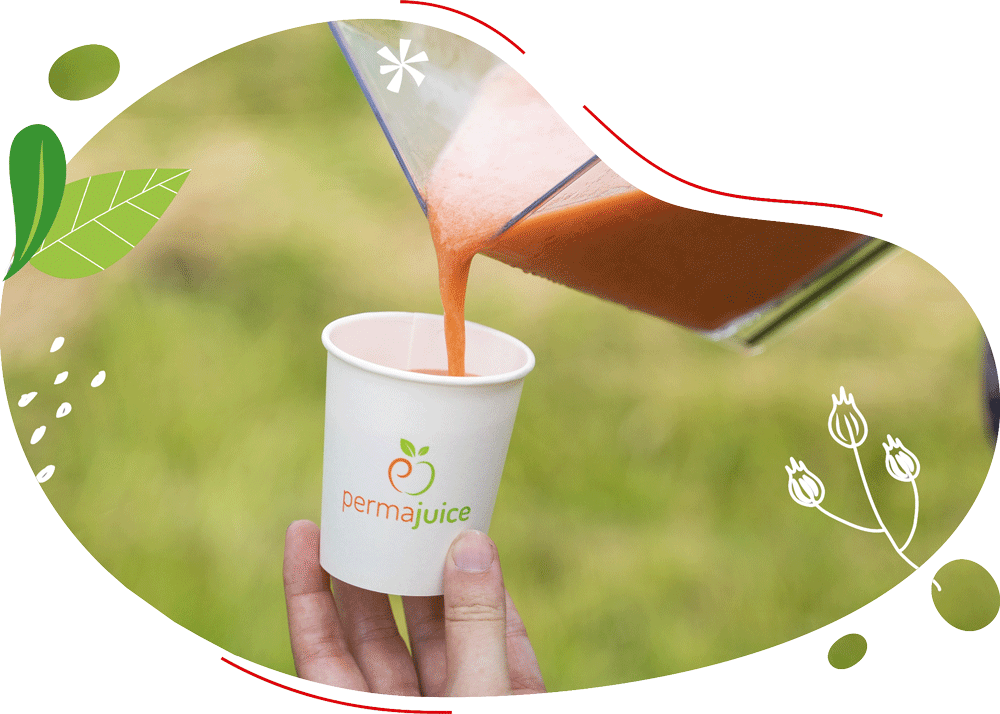 Smoothies bio pour smoothies dans gobelets écoresponsable