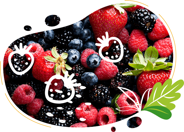 Visuel fruits rouges et colorés