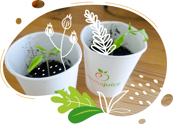 Visuel présentant une animation vélo smoothie à dimension écologique