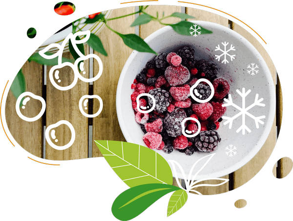 Fruits surgelés utilisés pour préparer des recettes de smoothies
