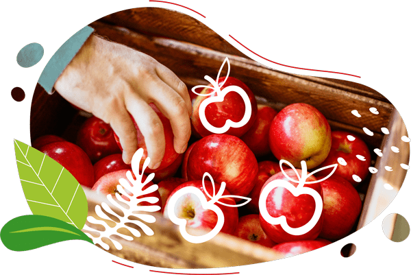 Ingrédients bio présentés pour la préparation de recettes de smoothies