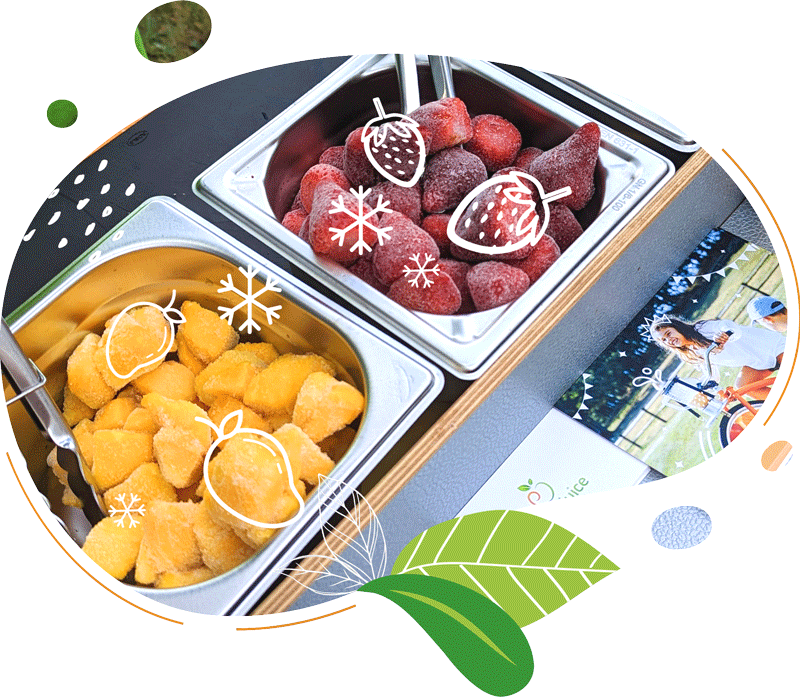 Visuel avec des fruits surgelés dans bacs inox et flocons