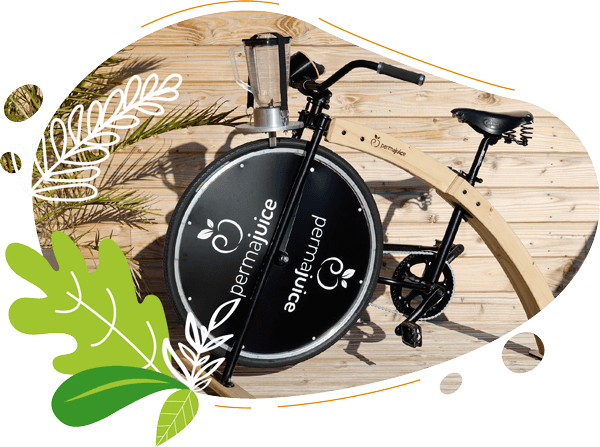 Vélo Blender Woody présenté avec un environnement boisé et naturel