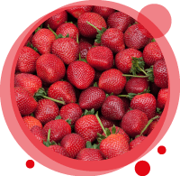 Visuel de plusieurs fraises pour montrer les goûts possibles